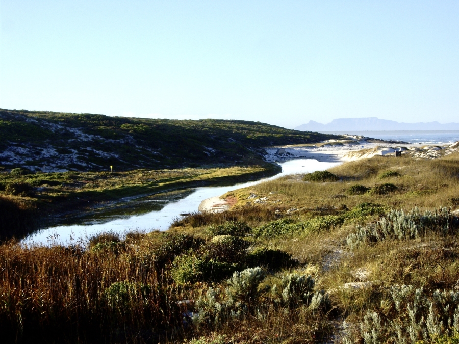 To Let 5 Bedroom Property for Rent in Grotto Bay Western Cape